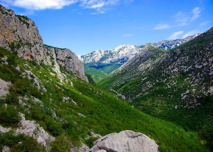 Apartmani Mila