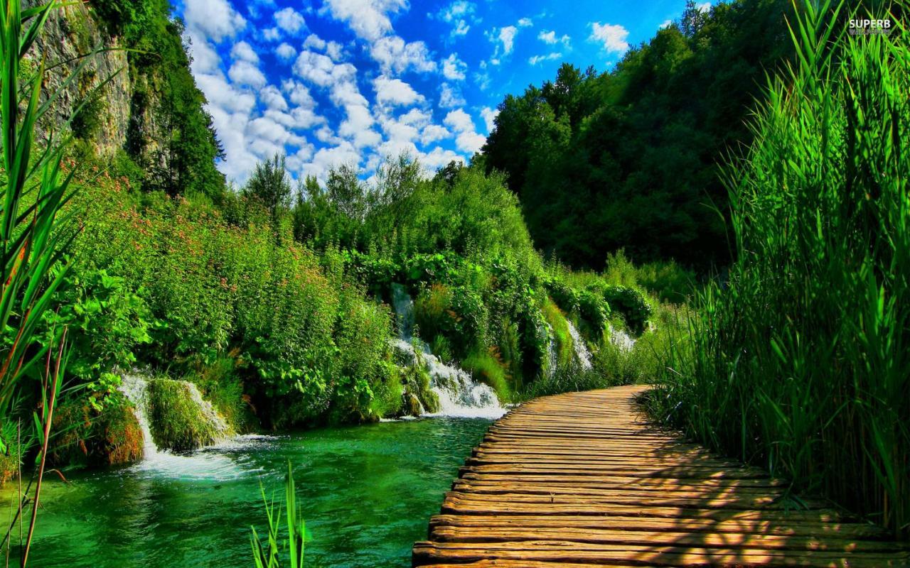 Mila Apartment Starigrad Paklenica